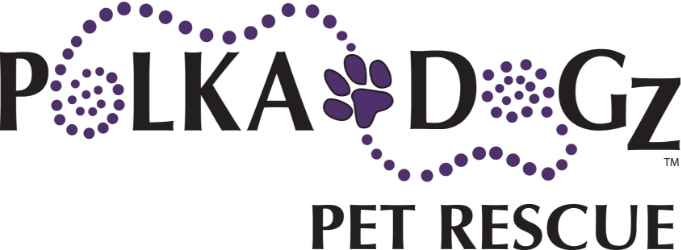 Orlando Dog Rescue - Polka Dogz Pet Rescue