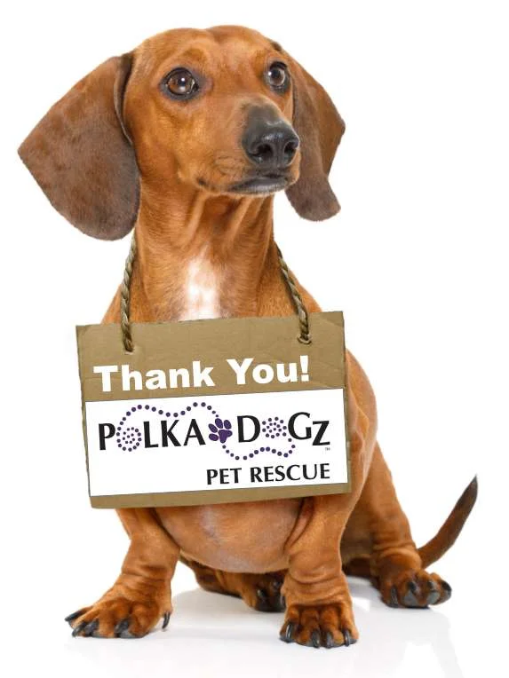 Dog thanking Polka Dogz Pet Rescue
