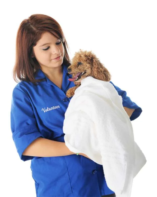Polka Dogz Pet Rescue volunteer with a dog